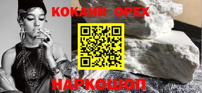 гашик Кинель
