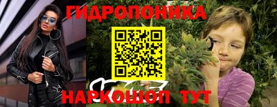 гашик Кинель