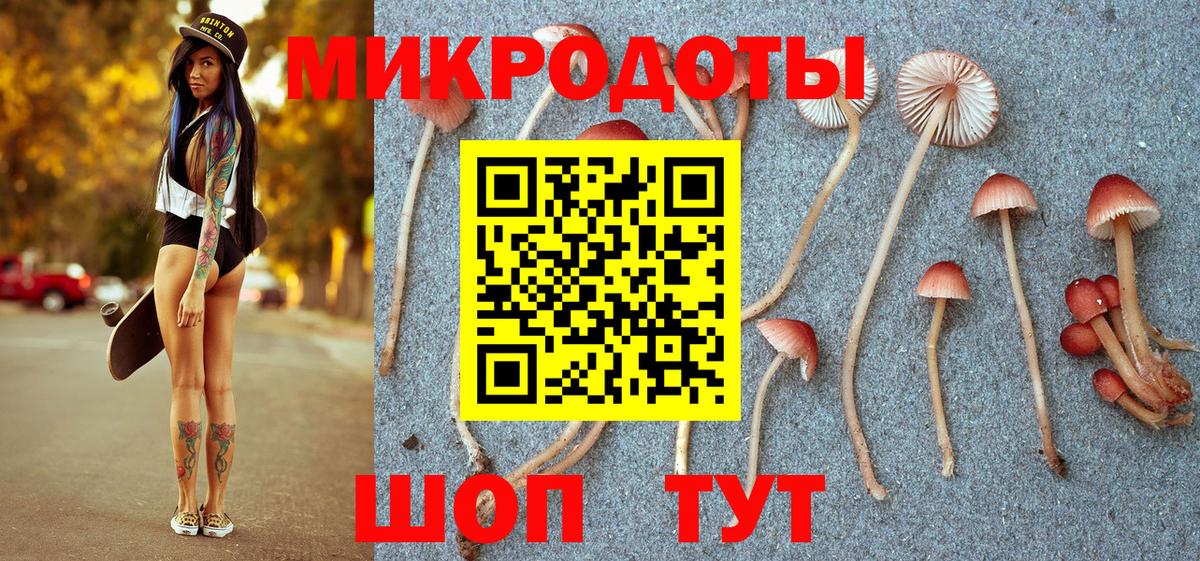 Псилоцибиновые грибы прущие грибы Ярцево